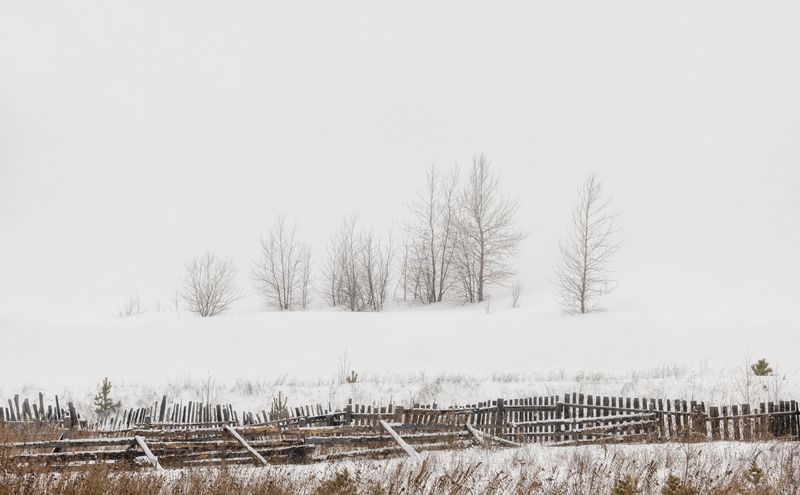 урал, россия, утро, Семейкаphoto preview