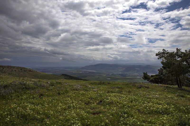 Голанские высотыphoto preview