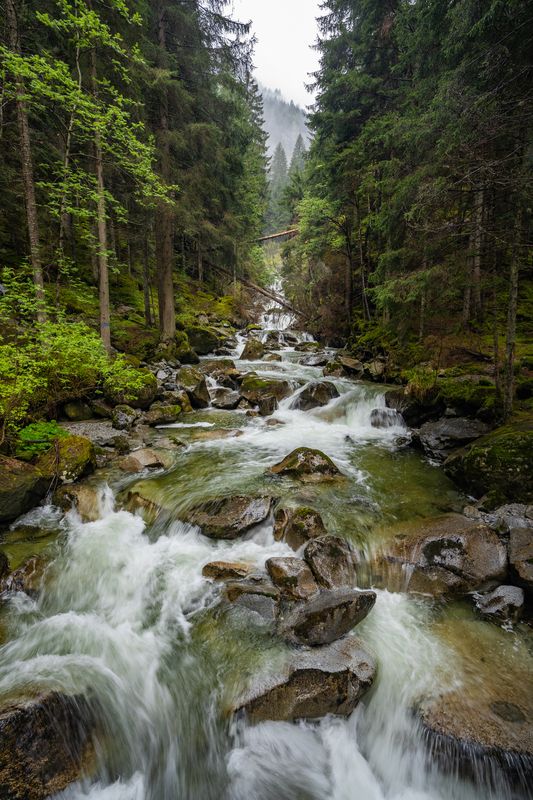 Fiume Sarca de Val Genova, Italyphoto preview