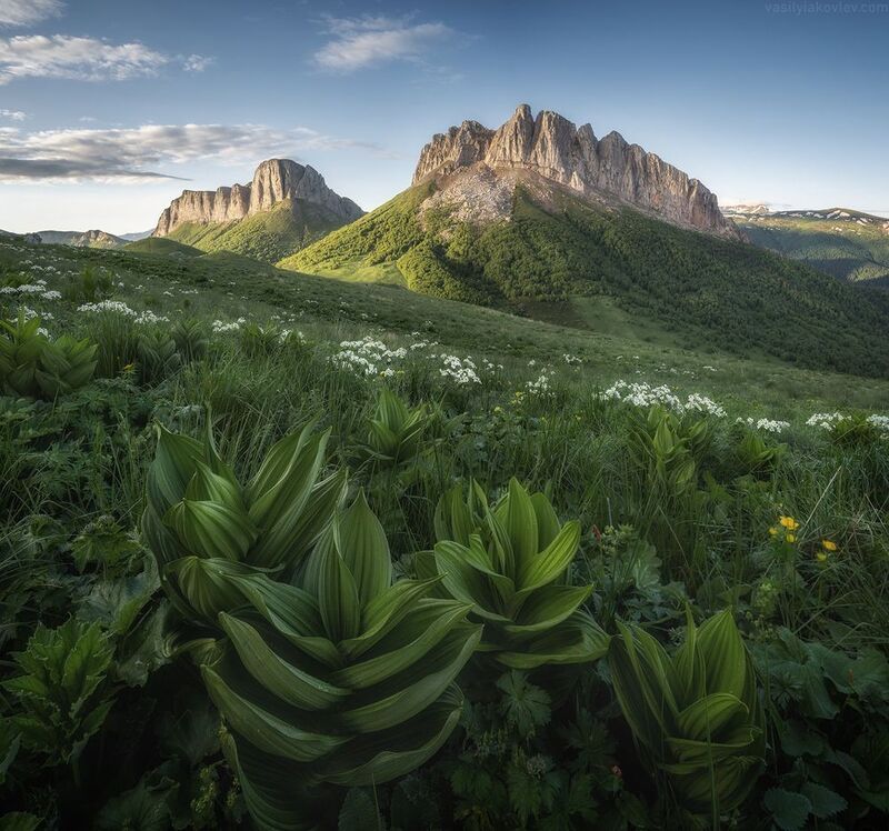 тхач, большой тхач, фототур, яковлевфототур, кавказ, адыгея Утренние чемерица и Ачешбокиphoto preview