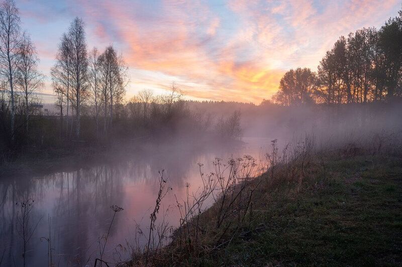 утро, рассвет, туман, река, весна, пейзаж, май, трава, лес, облака Розовый туманphoto preview