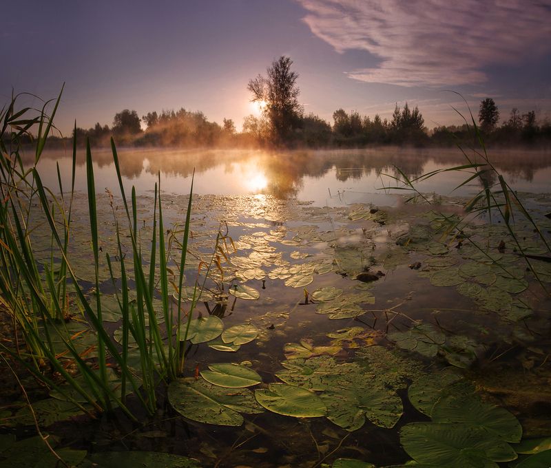 озеро, утро, сибирь, вода, свет, солнце В утреннем светеphoto preview