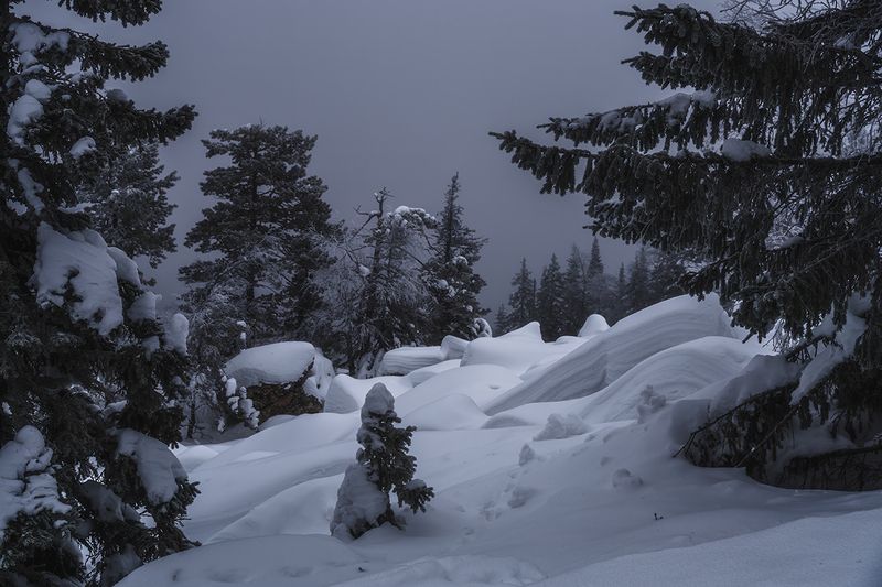 таганай, taganay, южный урал, south ural, уральские горы, ural mountains, зима, winter, пейзаж, landscape, снег, snow, природа, nature, лес, forest, туман, fog, суровая красота, harsh beauty, монохромный, monochrome, деревья, trees, камни, stones Седой Таганай фото превью