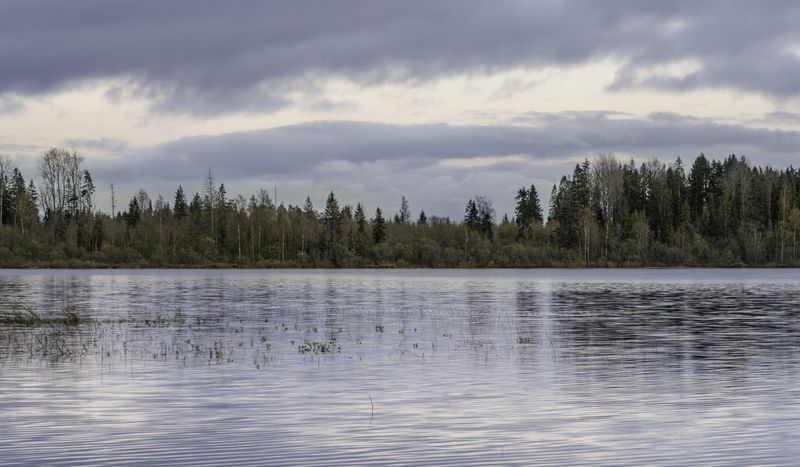 Россия, Новгородская область, Боровичи, озеро Шерегодра,  Майский пейзаж у озера Шерегодраphoto preview