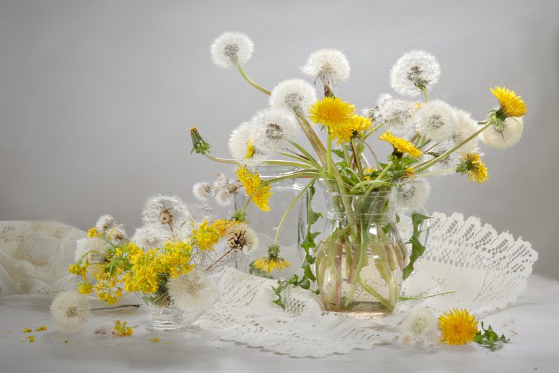 цветы, одуванчики, ваза, весна, натюрморт Одуванчикиphoto preview