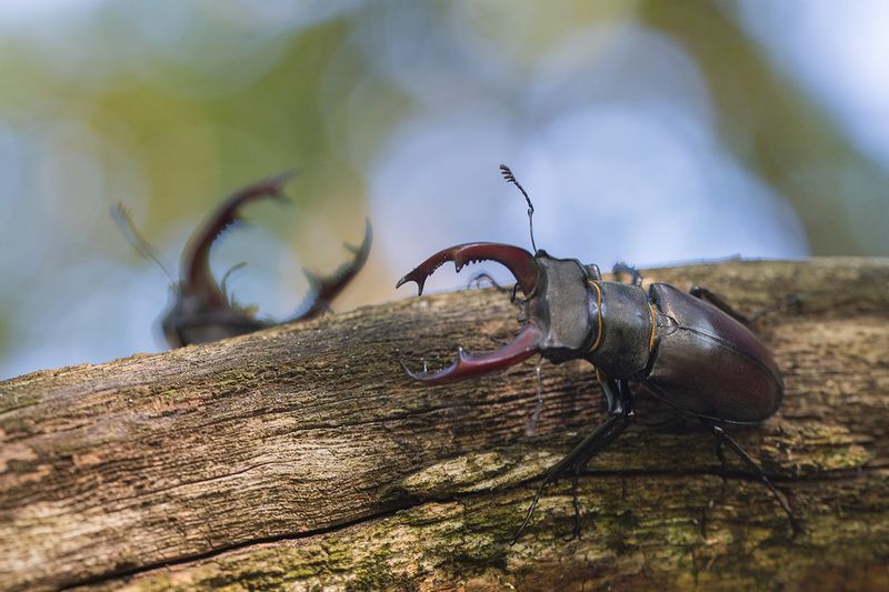 Встречаphoto preview