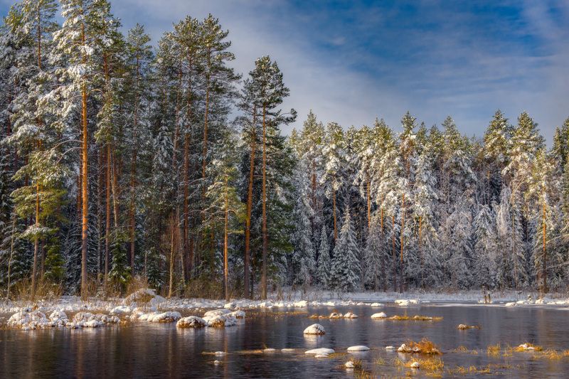 весна апрель снегопад утро свет суходол серково Утро после снегопадаphoto preview