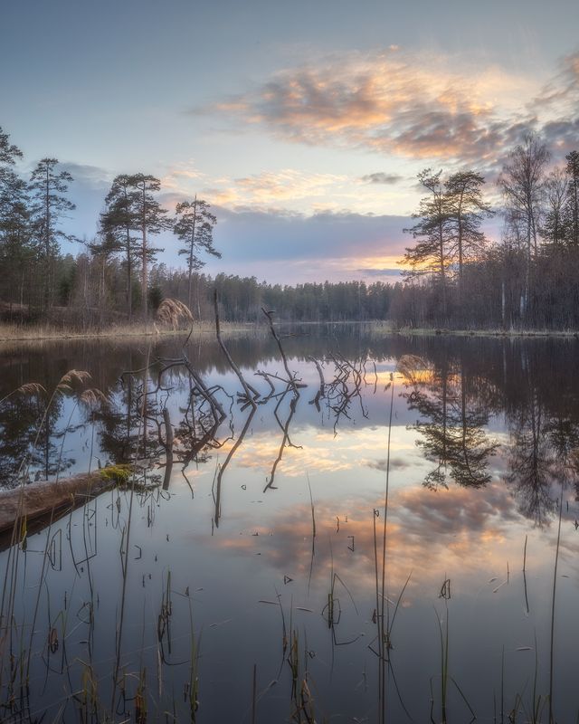 ленобласть, закат, весна, озеро ***photo preview