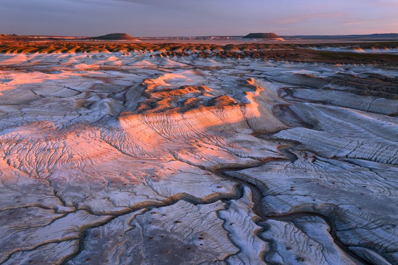 казахстан Вены степи... фото превью