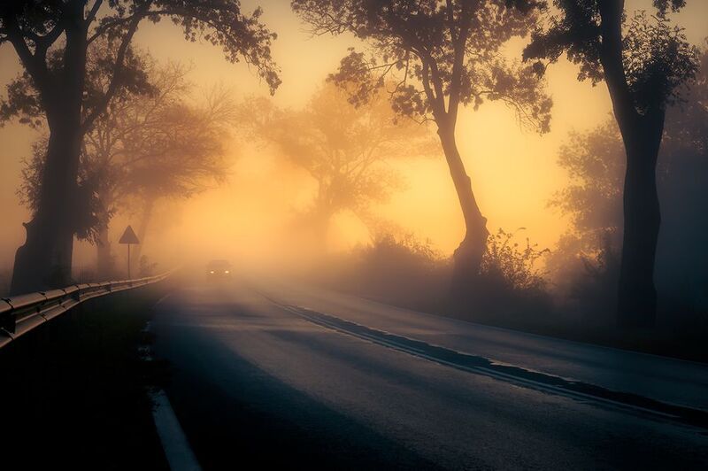 2024-10-27photo preview