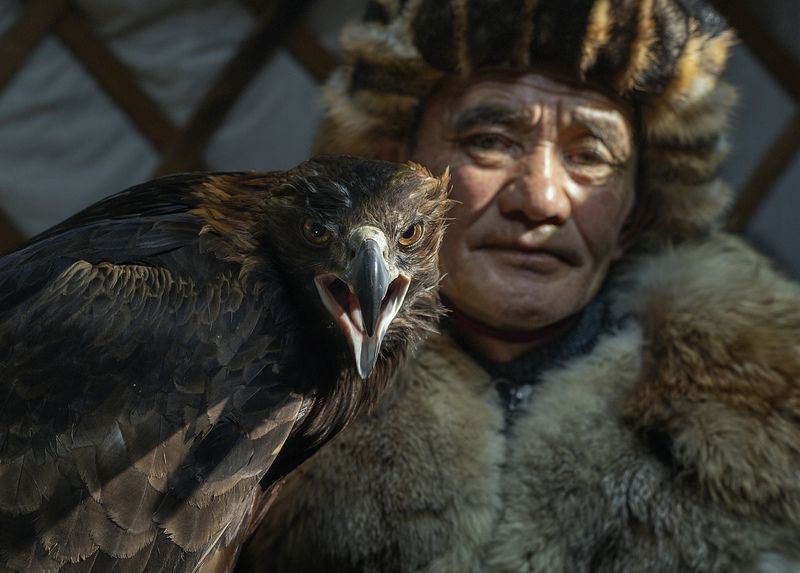 Mongolian eagle hunting festival Mongolian eagle hunting festivalphoto preview