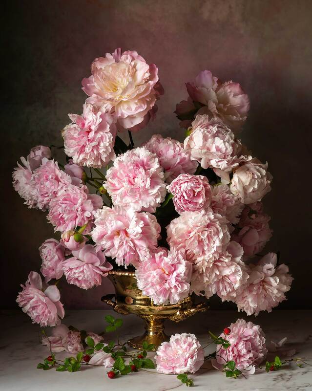 Majestic Peoniesphoto preview