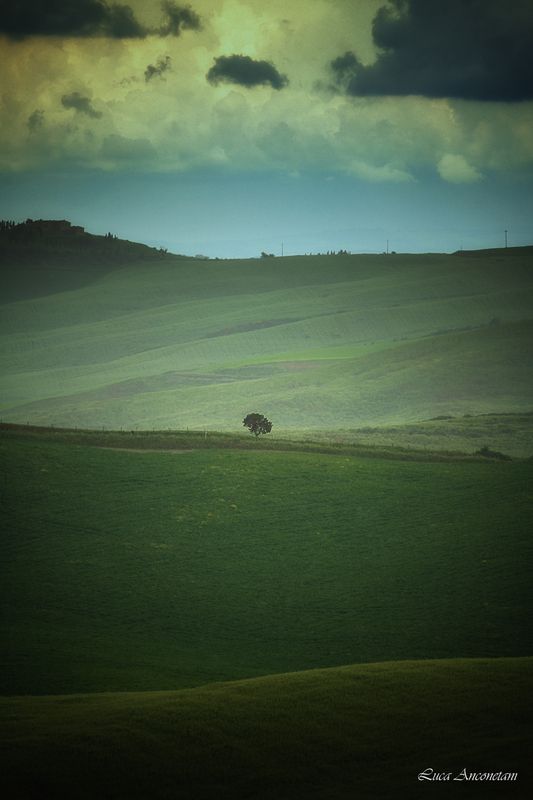 italy tuscany landscape nature fields tree rural crete senesi travel Crete senesi фото превью