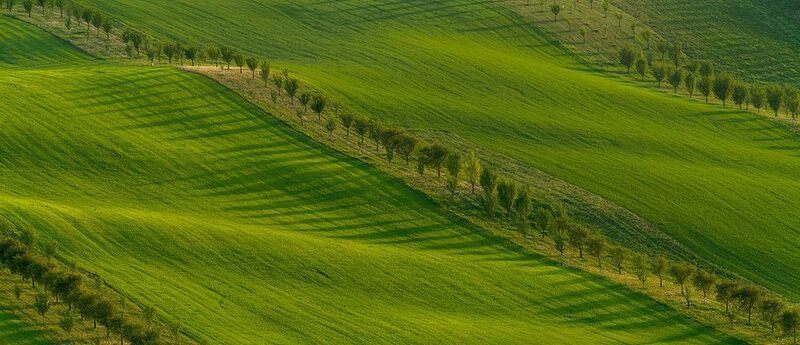 green wavesphoto preview
