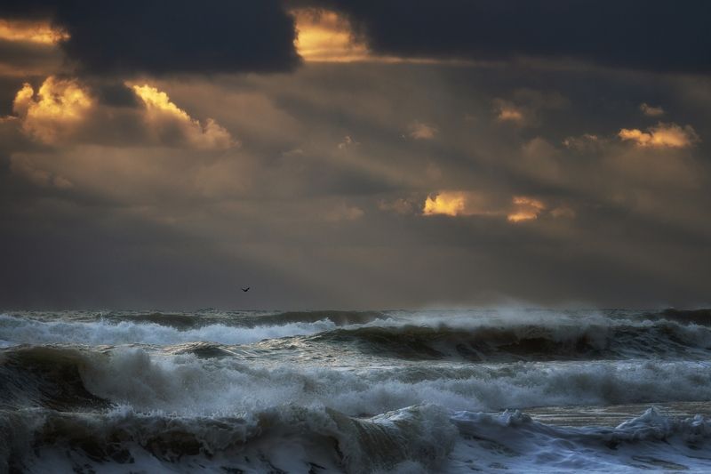 шторм волны море туапсе Шторм на море.photo preview