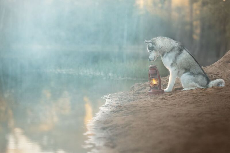 Туман на озереphoto preview