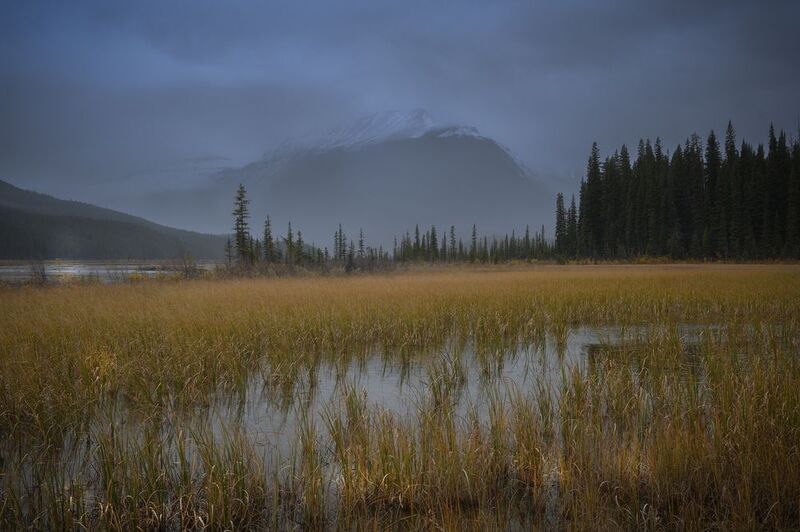 banff, alberta Icefields Parkway, Alberta, Canadaphoto preview