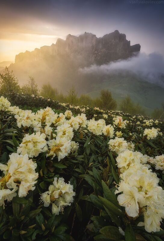 тхач, большой тхач, фототур, яковлевфототур, кавказ, адыгея Большой Тхачphoto preview