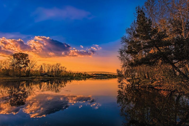 Отражениеphoto preview