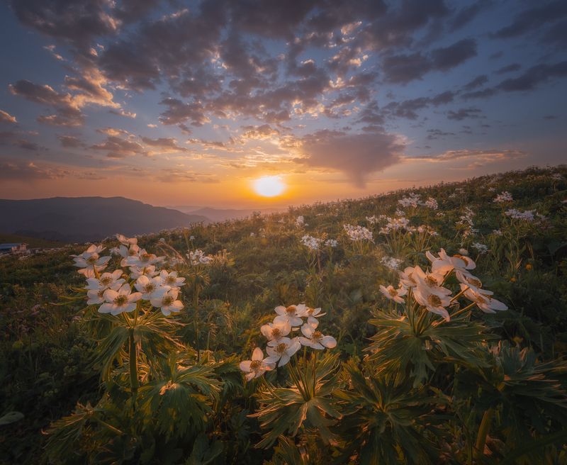 Рассветное)photo preview