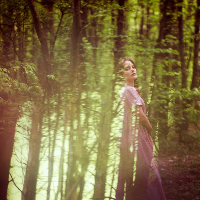 Untitledphoto preview