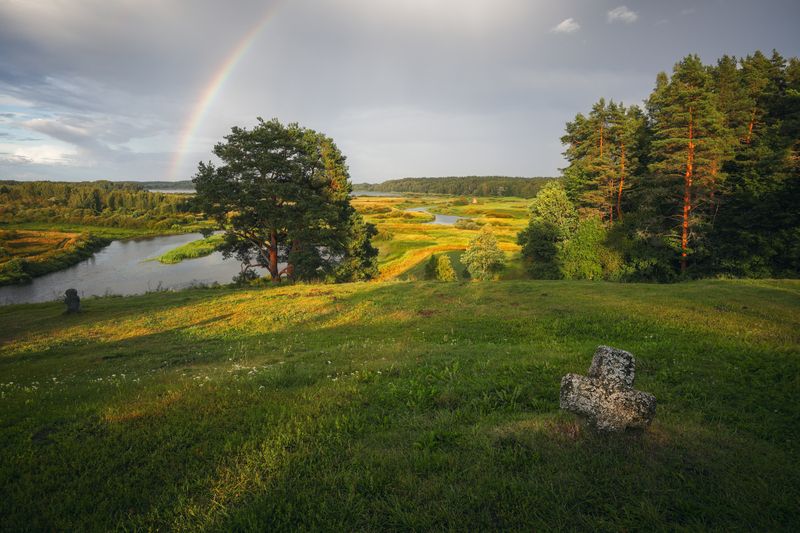 nature, outdoors, grass, forest, landscape, tree, rural scene, meadow, green color, summer, beauty in nature, yellow, sun, sunlight, cloud, sky, sunset, rainbow, пейзаж, природа, тучи, радуга, савкина горка Летняяphoto preview