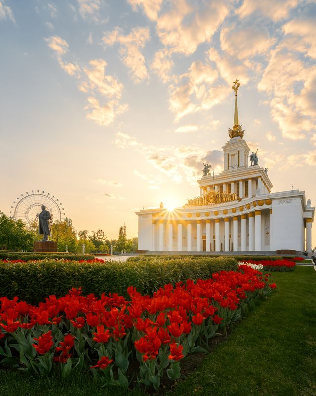 вднх, тюльпаны, весна, москва, moscow, spring, vdnh, тюльпаны ВДНХphoto preview