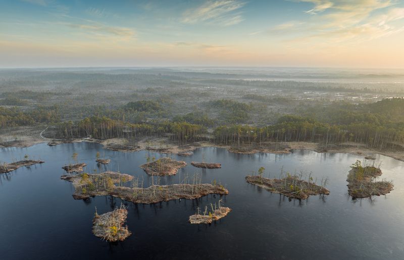 Холодное весенее утро фото превью