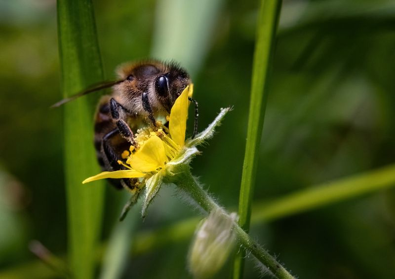 I\'m shyphoto preview