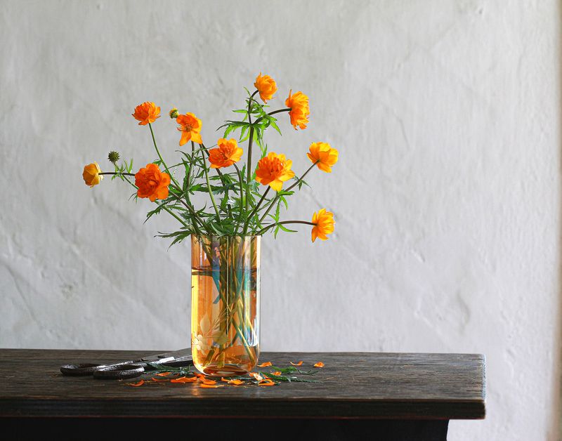 натюрморт, фотонатюрморт, still life, stillifefoto, цветы, цветоный натюрморт, огоньки, купава, жареи, наталья_казанцева Огоньки в оранжевом стакаееphoto preview