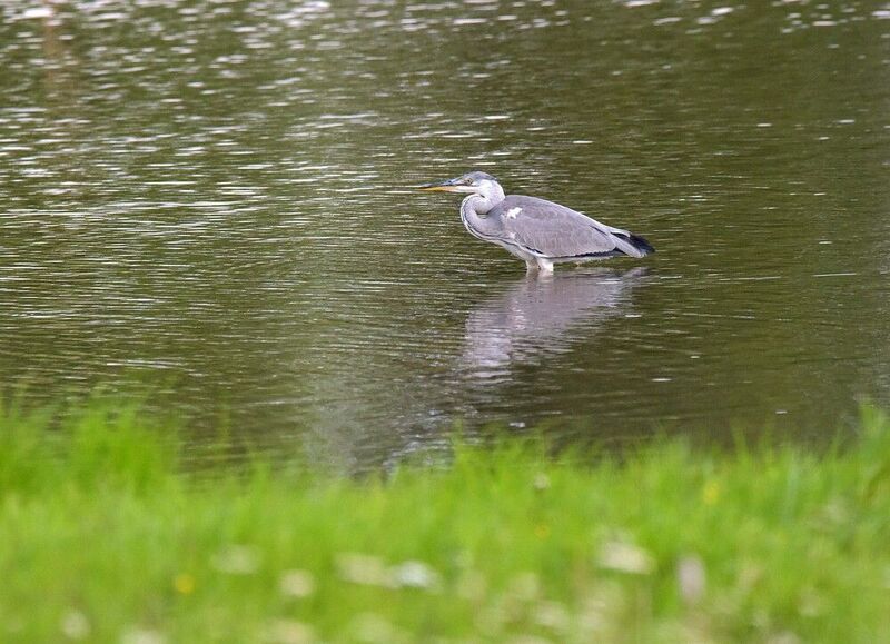 Рыбачкаphoto preview