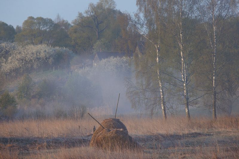 Утро туманноеphoto preview