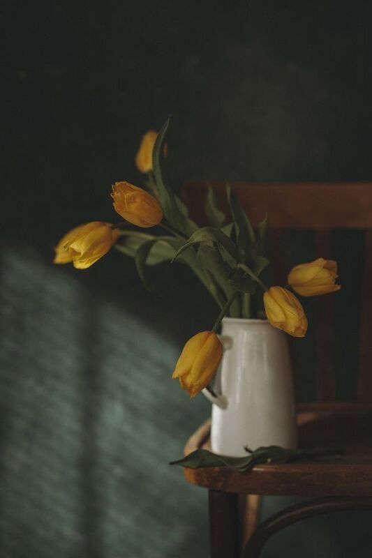 тюльпаныphoto preview