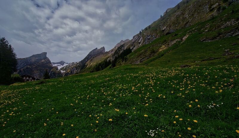 swiss.альпы Альпийский лугphoto preview