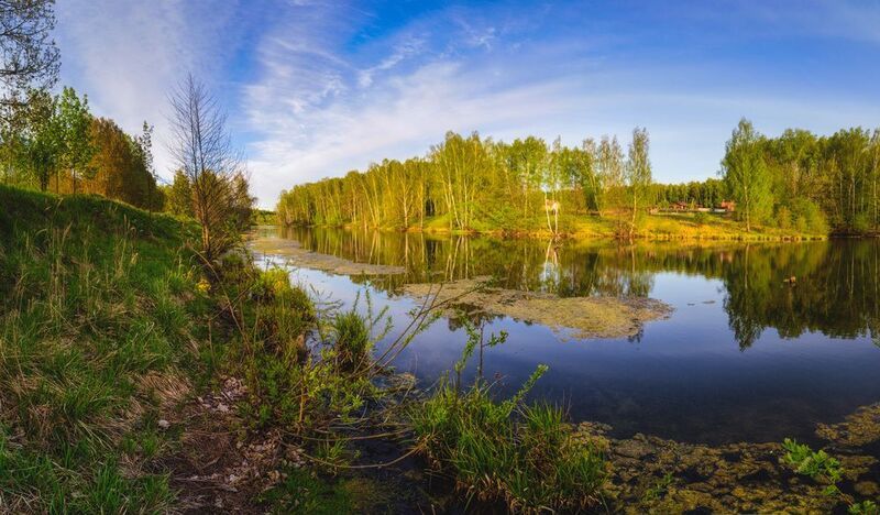 Тула, Шувайка, Серебряные ключи, Щегловская засека Пруд в Серебряных Ключахphoto preview