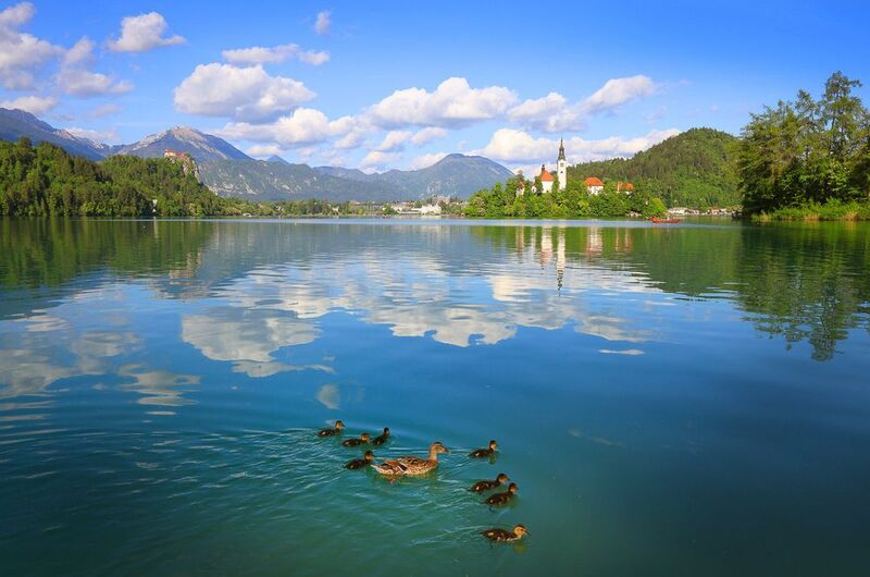 блед, озеро, озеро блед, словения, альпы, юлийские альпы, австрия, триглав, bled, alps, slovenia, lake bled Озеро Бледphoto preview