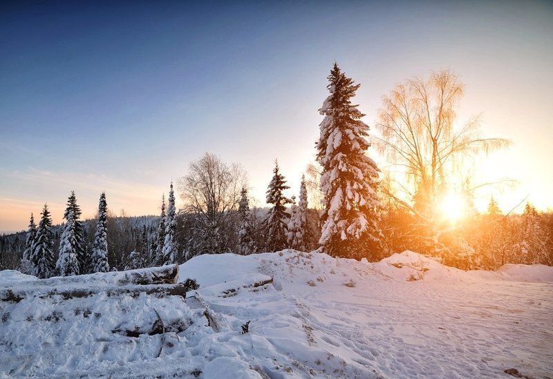 Башкирия, Белорецкий район, Горы, Снег, Солнце, Сосны, Утро *** фото превью