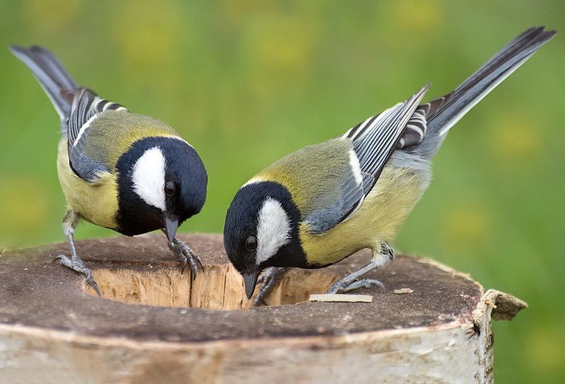 Вот как бывает...photo preview