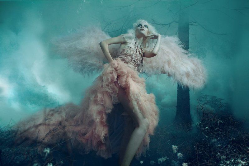 Птичкаphoto preview