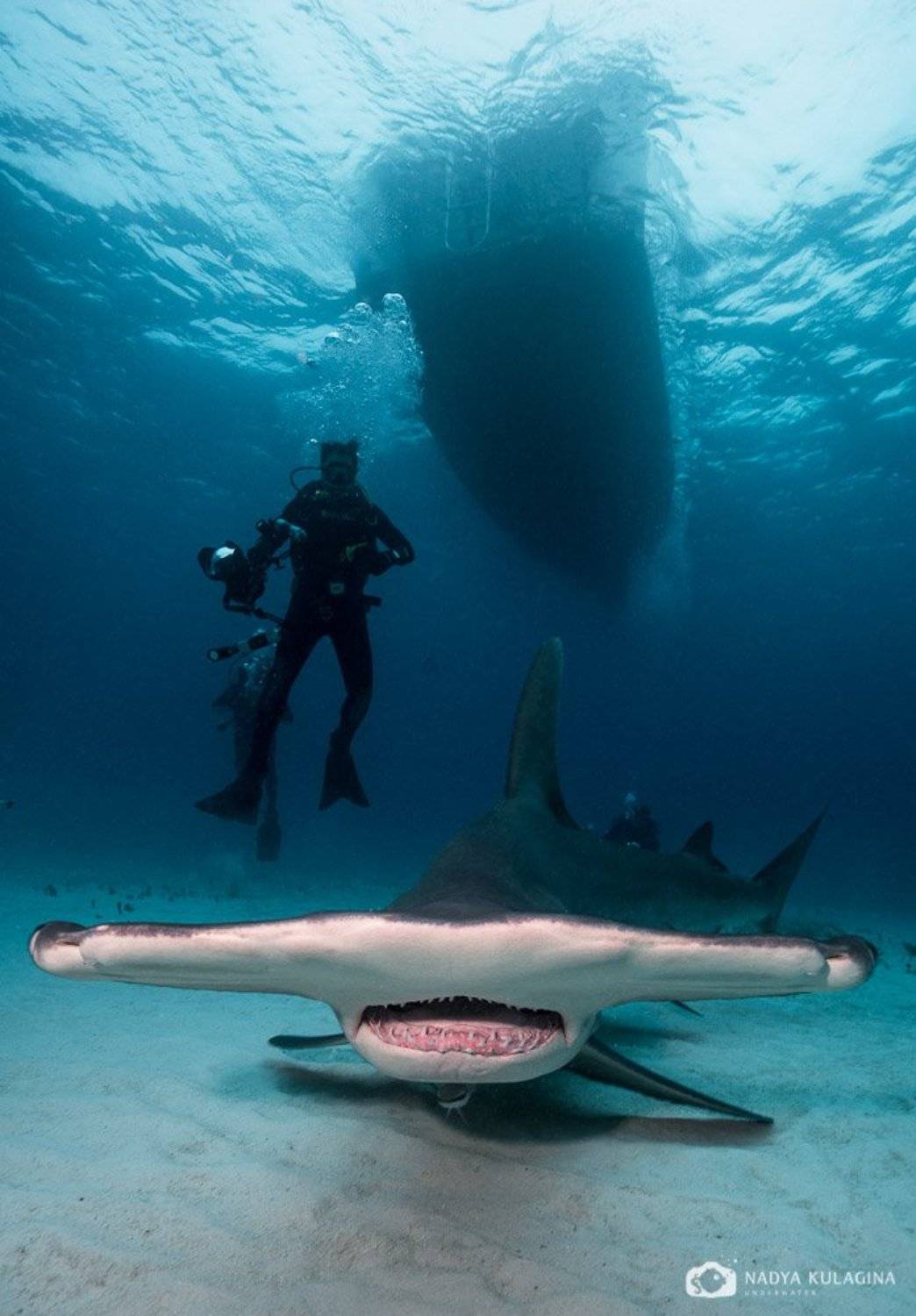 подводное фото,, Nadya Kulagina