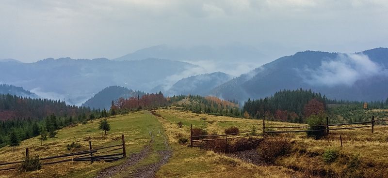 Дальняя дорога домой. фото превью