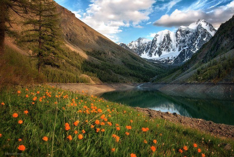 алтай, шавлинское В начале июня на Шавлинском фото превью