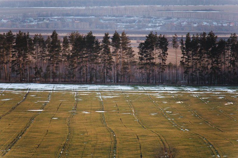 февральное потеплениеphoto preview