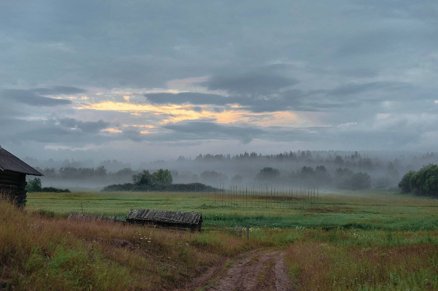 Белая ночь. Автор: Иван , Иван
