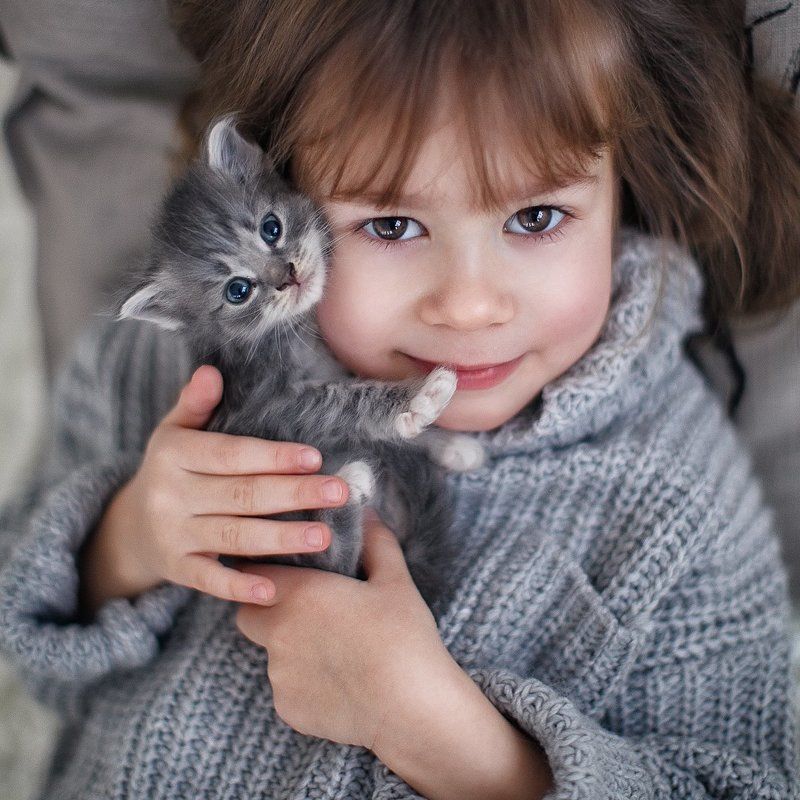 Sofa and kittyphoto preview