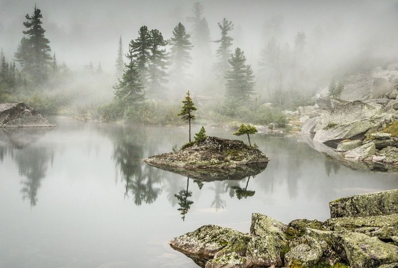 туманным утромphoto preview