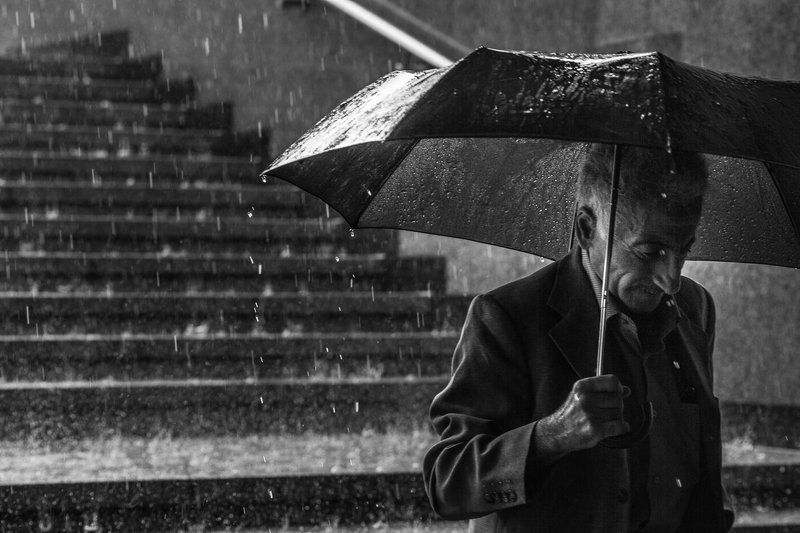 #dendzen Дождьphoto preview