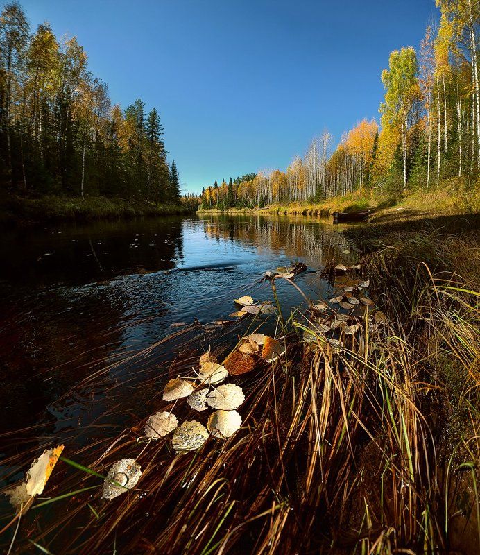 Соткаphoto preview