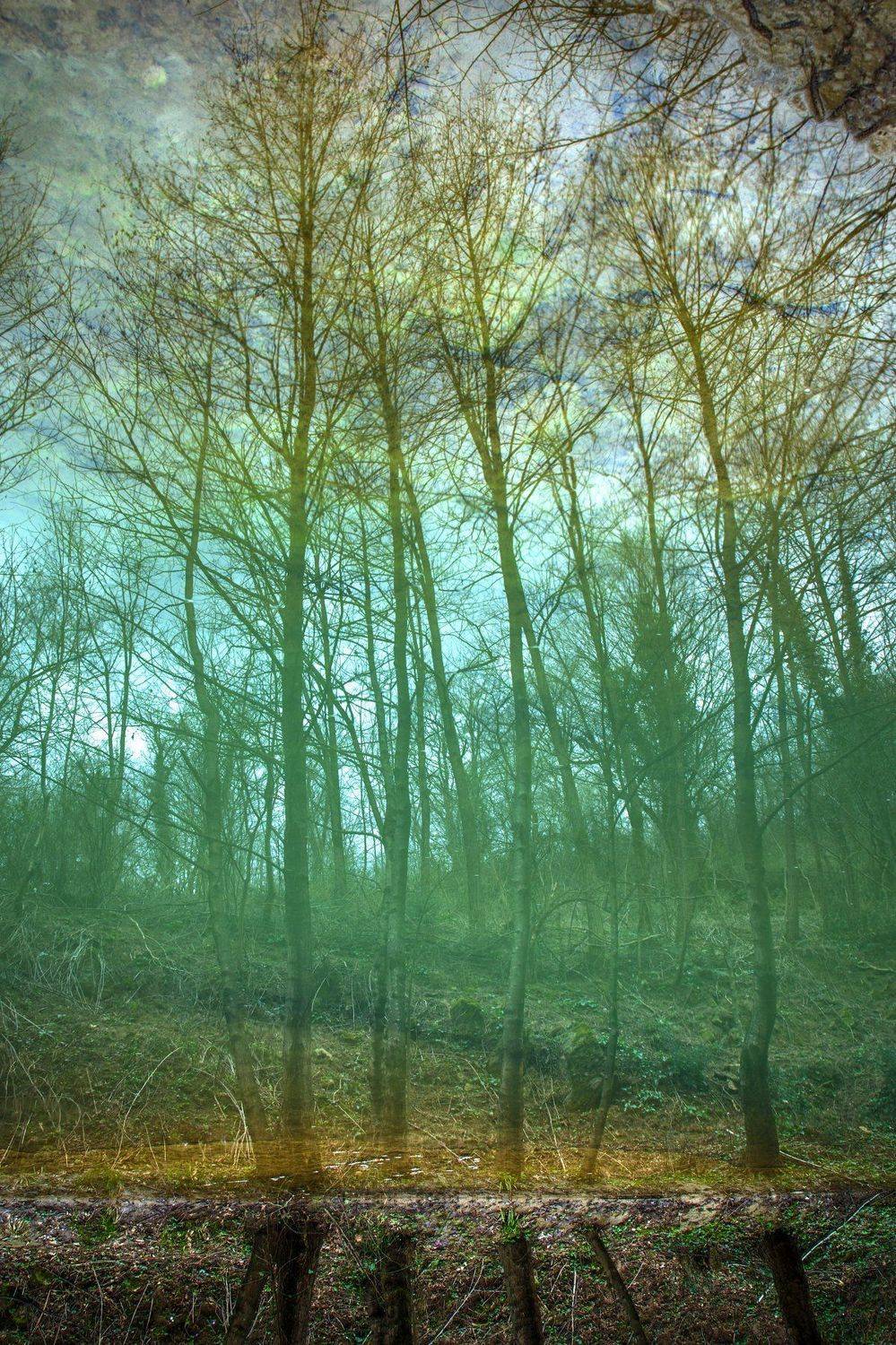 Отражение. Автор: Mindia Charkseliani , Mindia Charkseliani