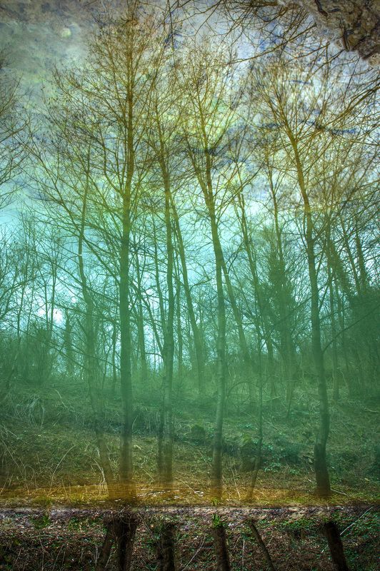 Отражениеphoto preview